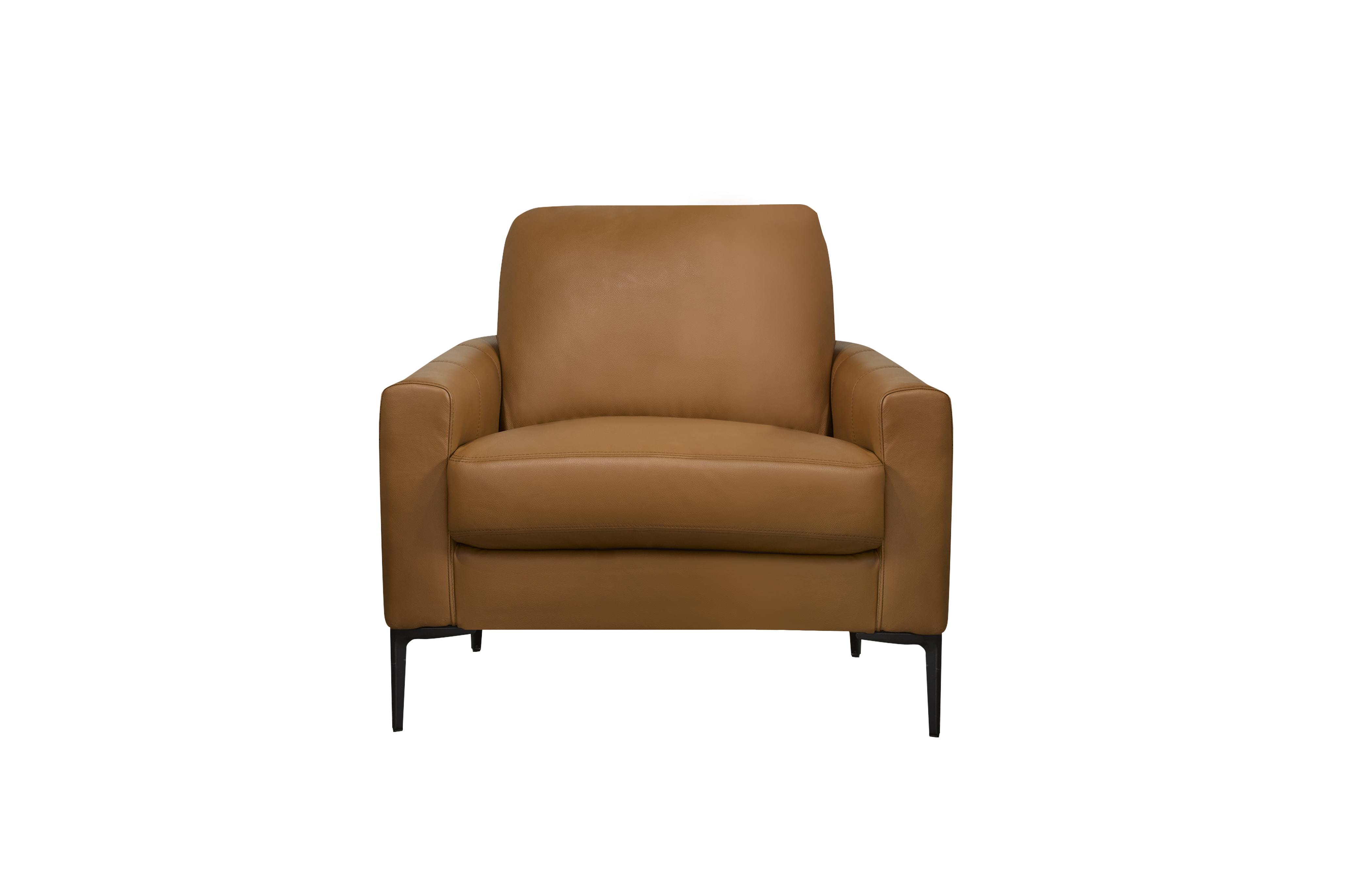Vernon Chair - Raven Genuine Leather