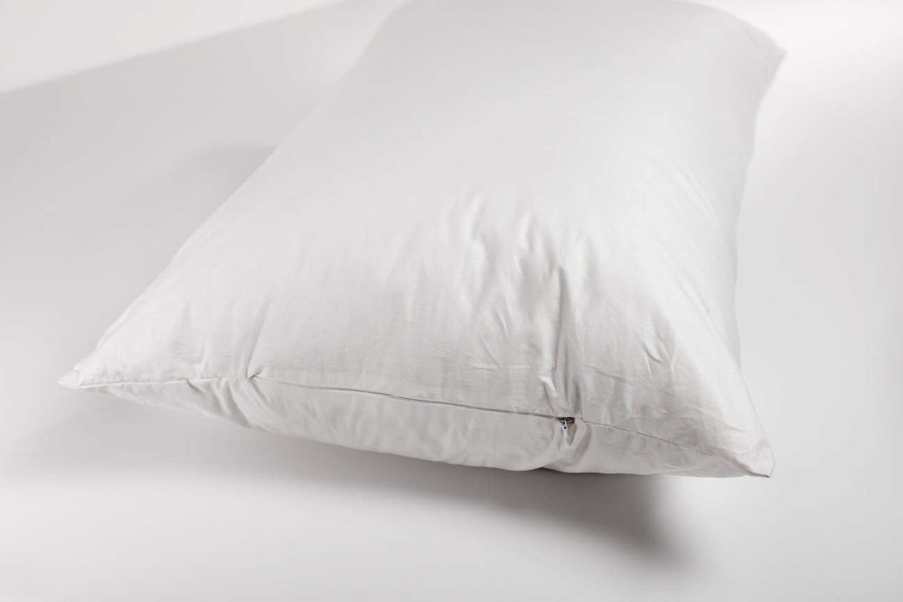 Organic Cotton Pillow - Standard (Made in Canada) - Canadian Furniture